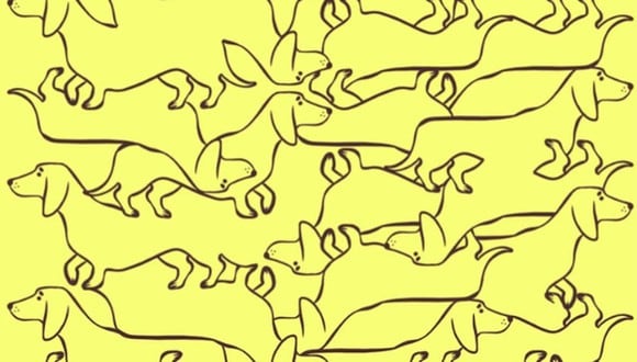 En esta imagen, cuyo fondo es de color amarillo, hay muchos perros. (Foto: genial.guru)