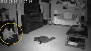 Video Viral: Presunto fantasma sale de muñeca antigua y aterroriza a gato