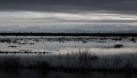 Inundaciones en tierras agrícolas en el Valle Central de California, una de las zonas que se hunden (Foto: AFP)