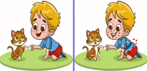 SOLUTION OF THE VISUAL CHALLENGE |  In the second image the boy has teeth, a stripe on his shirt and the cat has a white chest.