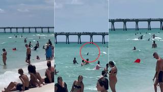 Viral: Tiburón aparece nadando cerca de la orilla en una playa de Florida y espanta a bañistas 
