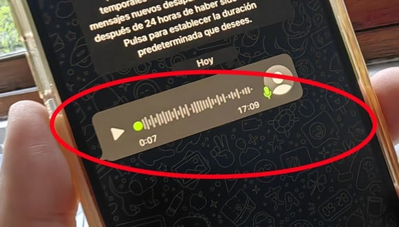 WhatsApp: cuántos mensajes de voz se envían por la aplicación al día en todo el mundo. (Foto: MAG)