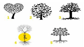 Elige 1 de los 5 árboles y el test de personalidad revelará si eres alguien celoso y tóxico