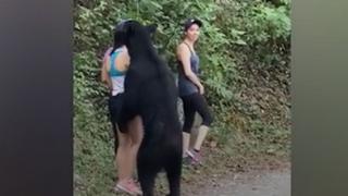 Amor a primera vista: oso negro se ‘enamoró’ perdidamente de una joven en México y casi se la lleva [VIDEO]