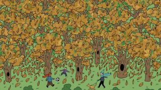 Halla la ardilla camuflada en el bosque: completa el desafío visual más difícil del año