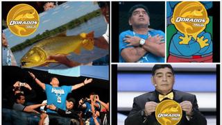 Ni 'D10S' se salva: los mejores memes del anuncio de Diego Maradona como DT de Dorados de Sinaloa [FOTOS]