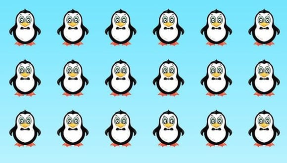 En esta imagen hay un pingüino diferente al resto. Debes encontrarlo en 8 segundos. (Foto: genial.guru)