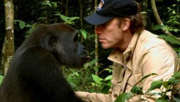El emotivo reencuentro entre un gorila y su cuidador que lo liberó en la selva años atrás. (Foto: Enrique Van Rysselberghe Herrera / Facebook)
