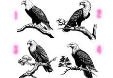 ¿Cuál águila escoges? Elige uno y accederás a un mensaje especial