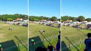 Video viral: Vaca invade campo de juego y corre para evitar ser atrapada