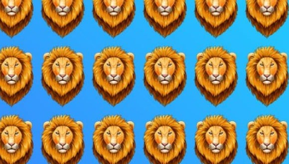 Acertijo visual: encuentra al león diferente en la imagen en menos de 5 segundos (Foto: Genial.Guru).