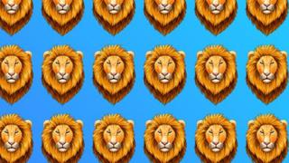 ¿Eres capaz de encontrar al león diferente en el acertijo visual? Tienes cinco segundos