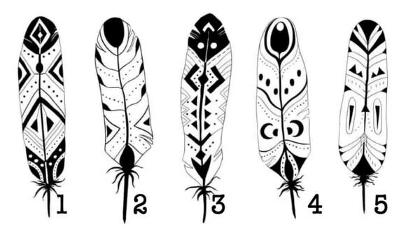 TEST VISUAL | En esta imagen hay varias plumas. Tienes que seleccionar una. (Foto: namastest.net)