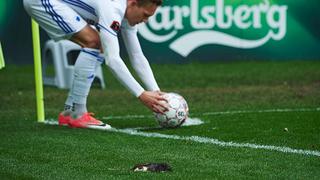 ¡Insólito! Hinchas arrojaron ratas muertas contra los jugadores de Copenhague [VIDEO]