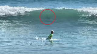 Captan escape de un niño de 11 años de un tiburón en el mar de Florida [VIDEO]