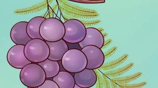 Encuentra el error en el reto viral de la uva que solo 2 de cada 10 personas logran ver [FOTO]