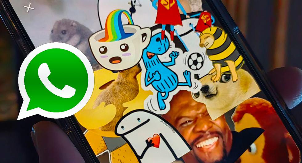 WhatsApp |  So you can create mobile edition stickers |  iPhone |  iOS 16 |  jobs |  Tools |  stickers |  Applications |  trick |  nnda |  nnni |  Play DEPOR