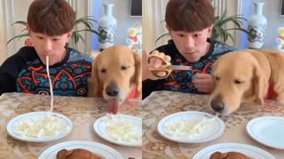 Ríe a carcajadas con este peculiar concurso de comida entre un hombre y su mascota