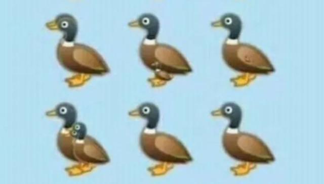 Desafío visual: ¿puedes adivinar cuántos patos hay en la siguiente imagen? (Foto: Facebook/Captura)
