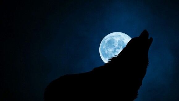 Luna del Lobo: Conoce cuándo es y cómo ver la luna llena de enero del 2024 | Foto: Pixabay