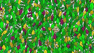 Reto viral de ‘capos’: ¿logras ver a la rana oculta entre las hojas verdes en solo 20 segundos? [FOTO]