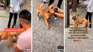 Hombre encuentra a su perro después de 6 años y su reacción conmueve a todos en internet 