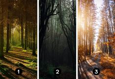 Elige uno de estos bosques y descubrirás cuál es tu estado ánimo actualmente