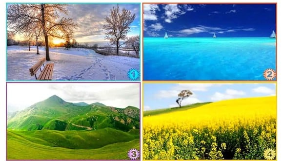 TEST VISUAL | Esta imagen muestra varios paisajes. Selecciona uno. (Foto: namastest.net)