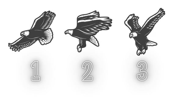 TEST VISUAL | Elige el águila que más te agrada visualmente. (Foto: Composición Freepik / Depor)