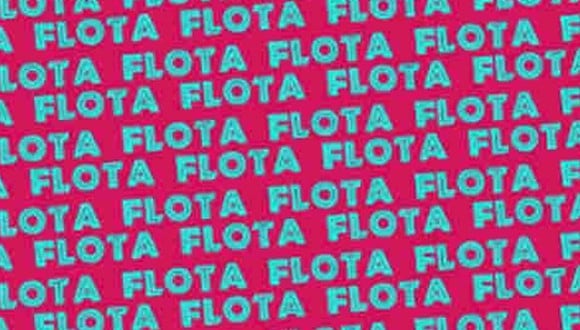 Tu tarea de hoy es hallar la palabra ‘floja’ en esta imagen. (Foto: MDZ Online)