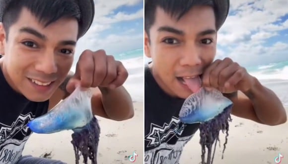 Un joven lamió una criatura que encontró en la playa sin saber que es venenosa. (Foto: @alexa_reed2 / TikTok)