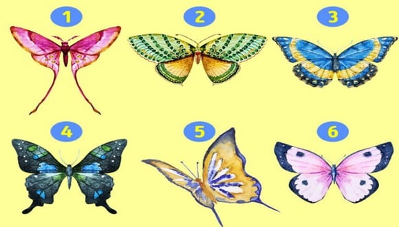 TEST VISUAL | En esta imagen se puede apreciar varias mariposas. Elige una. (Foto: namastest.net)