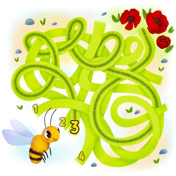 This image indicates which path the bee must take to find the flowers.  (Photo: cool.guru)