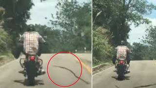 Motociclista ejecuta una espectacular maniobra al ser atacado por una serpiente