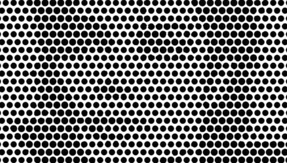 Reto visual de ilusión óptica sobre un artista famoso. (Difusión)