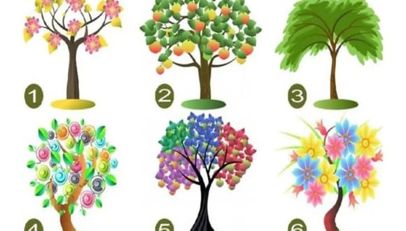 TEST VISUAL | En esta imagen hay muchos árboles. ¿Cuál te gustaría plantar en tu jardín? (Foto: namastest.net)