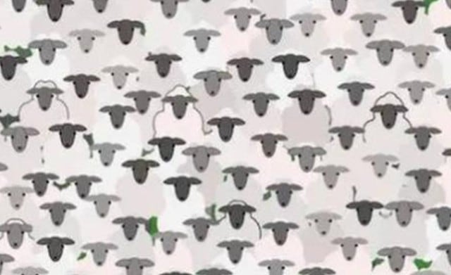 Halla a la cabra escondido entre las ovejas en este reto viral de Internet (Foto: Facebook)