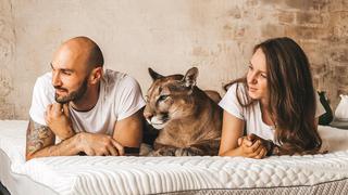 ‘Messi’, el puma adoptado que se cree mascota y vive a cuerpo de rey