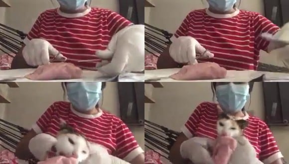 Un video viral muestra el divertido percance que sufrió una estudiante de medicina a causa de su gato durante una clase a distancia. | Crédito: Centro de capacitación Ingresa Académicos S.C. / Facebook