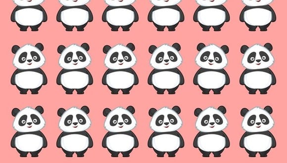 En este acertijo visual trata de identificar al panda extraño entre el grupo de pandas blancos y negros de la imagen. (Foto: Bright Side)