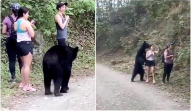 Video viral: mujer sorprende a todos con su templanza frente a un oso.