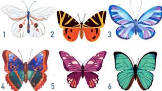Elige la mariposa que te guste más y el test visual indicará qué ocultas de tu personalidad
