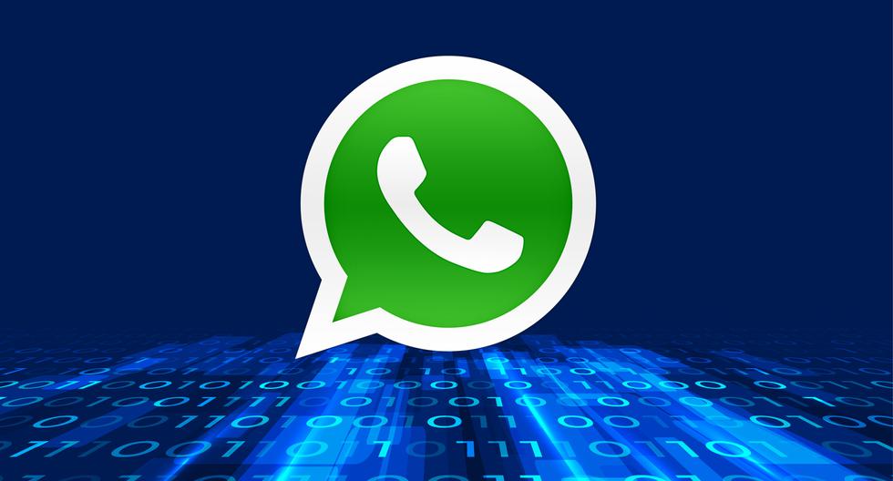 WhatsApp Web: Dowiedz się o nowych tajnych kodach |  Zabawa sportowa