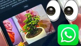 WhatsApp: con qué contacto intercambia más fotos tu amigo