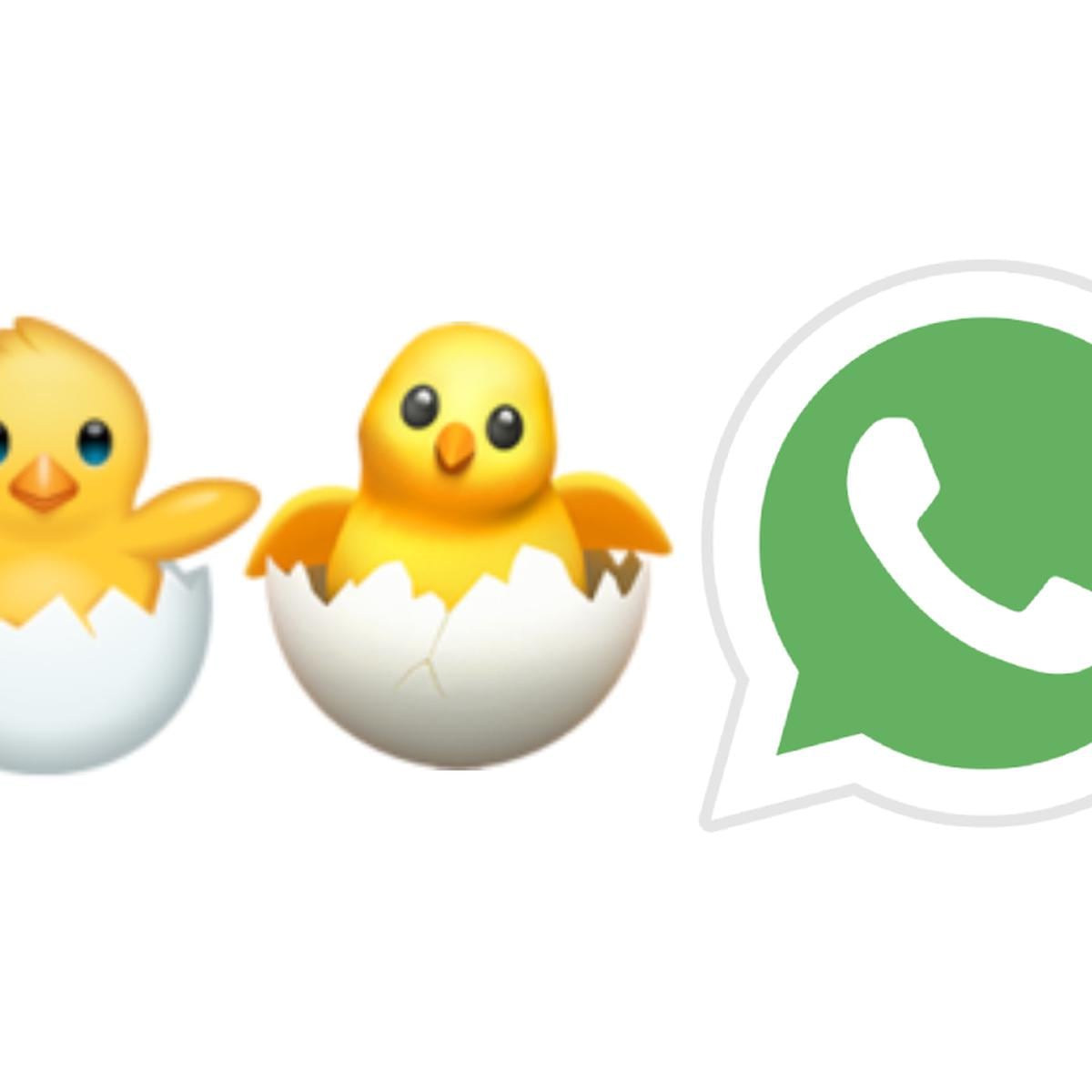 WhatsApp | Conoce en qué ocasiones debes compartir al pollito recién nacido  | DEPOR-PLAY | DEPOR