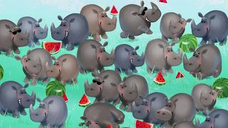 ¿Ubicarás al hipopótamo entre los rinocerontes del reto visual en solo 4 segundos?