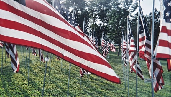 Frases, Día de los Veteranos en EEUU: mensajes para honrar su servicio. (Foto: Pexels)