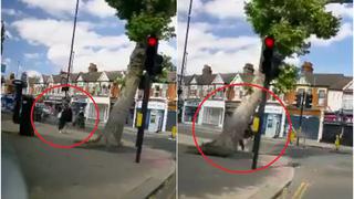 Dos mujeres salvan de quedar aplastadas por árbol en calle de Londres
