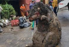 El terrorífico disfraz de rata hallado en un basurero tras una intensa lluvia