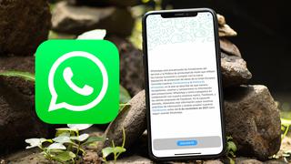 Nuevas políticas de WhatsApp: esto pasará con tu celular si no aceptas antes del 6 de noviembre